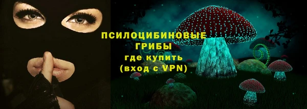 прущий лед Арсеньев