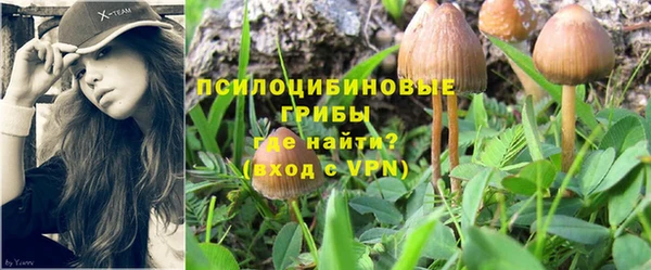 ПСИЛОЦИБИНОВЫЕ ГРИБЫ Балахна