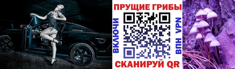 darknet как зайти  Белинский  Галлюциногенные грибы прущие грибы 